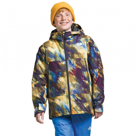 The North Face Boys' Freedom Insulated Jacket - Summit Gold Paint Lightening Small Print