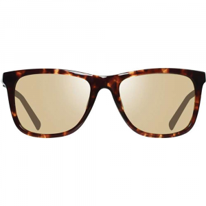 Revo Cove Sunglasses - One Size - Tortoise / Champagne