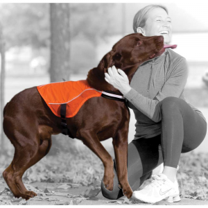 Kurgo Reflect Protect Active Dog Vest