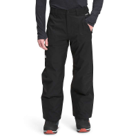 The North Face Men's Seymore Pant