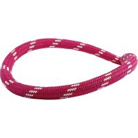 Edelweiss Curve 9.8mm Unicore SuperEverdry Rope