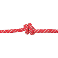 Edelweiss Discover 8.0mm Rope