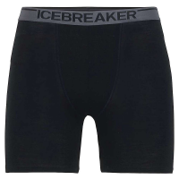 Icebreaker Men's Anatomica Long Boxers - Small - Island