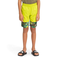 The North Face Boys' Class V Water Short - Large Short - TNF Navy Bugging Out Phantom Print