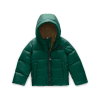 The North Face Toddlers' Moondoggy Down Jacket - 3T - Night Green