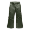 The North Face Girls' Fresh Tracks Pant