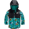 The North Face Toddlers' Zipline Rain Jacket - 6T - Jaiden Green Happy Campy Print