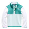 The North Face Toddlers' Glacier 1/4 Snap Top - 2T - Jaiden Green