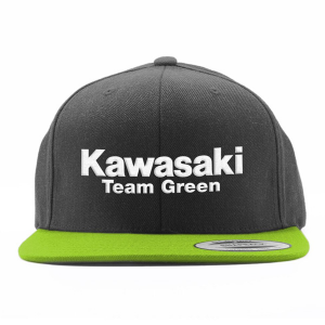 Factory Effex - Team green 2 Snapback Hat