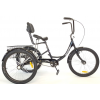 The Carry All 24" Adult Special Needs Tricycle