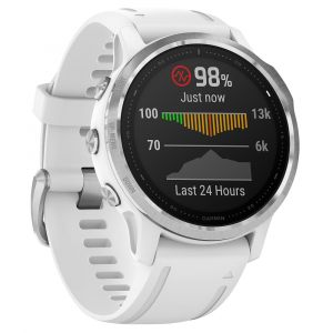 Garmin fenix 6S Silver Band Smartwatch