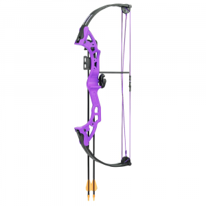 Bear Archery Brave RH Purple Youth Bow AYS300PL - Bear Archery