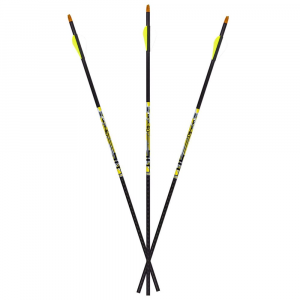 Carbon Express D-Stroyer .350 Arrows 6pk 51163 - Carbon Express