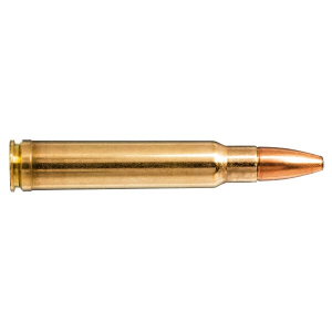 Norma Ammunition .358 Norma Magnum 250gr Oryx Ammo, 20 Cartridges per Box 20190072