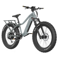 QuietKat Ranger VPO Sonic Medium eBike w/FKA-20633 Pathfinder 48v 16Ah Battery RAN-VPO-SNC-17