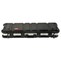SKB ATA 2 Gun Short Rifle Black Case 2SKB-4009