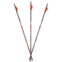 Carbon Express D-Stroyer MX Hunter 350 Shaft 12pk 51150