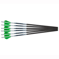 Excalibur EXPERT SERIES Proflight 20" Traditional Crossbow Arrows 6pk 22EXP20-6