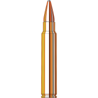 Hornady Dangerous Game .375 Ruger 270gr Ammunition w/InterLock SP-RP Bullets (20/Box) 8231