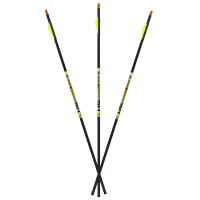 Carbon Express D-Stroyer .350 Arrows 6pk 51163