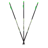 Carbon Express D-Stroyer PileDriver .350 Arrows 6pk 51181