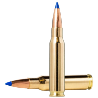 Norma Bondstrike Extreme 6.5 Creedmoor 143gr Centerfire Rifle Ammo (20/box) 20166402