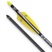 TenPoint EVO-X CenterPunch Carbon Arrows 20 w/Alpha-Nocks .001 Wte HEA-740-36