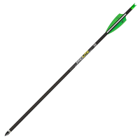 TenPoint Pro Elite 410 Carbon Arrows 20 w/Alpha-Nocks .004 Wte HEA-660-6
