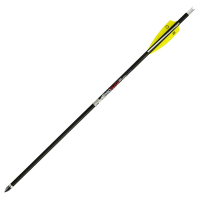TenPoint Pro Elite 410 Carbon Arrows 20 w/Alpha-Nocks .004 Wte HEA-660-3