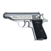 Walther PP .380 ACP Stainless 7rd Pistol 4796027