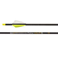 Victory Archery VAP SS Gamer 200 Stainless Steel GPI: 12.5 Fletched Arrow 6pk VAPSSG-200FX-6