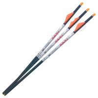 Ravin R18 Lighted Arrows .003 3PK R147