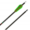 TenPoint Pro-V 22 Carbon Arrows 22 w/Alpha-Nocks .003 Wte HEA-560-6