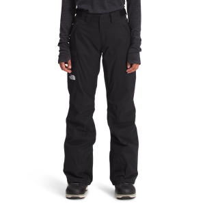 The North Face Freedom Insulated Pant - Women's - Alpine Plum - Large - Regular
