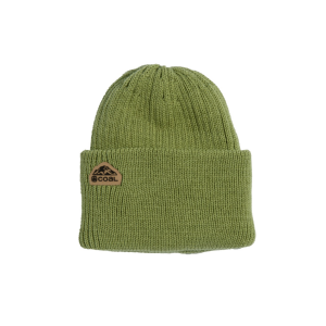 Coal The Coleville Beanie - Sage - One Size Fits Most