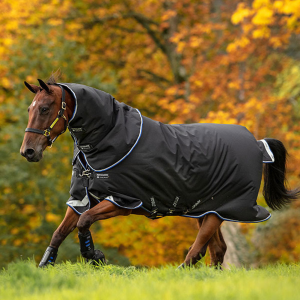 HORSEWARE IRELAND Amigo Bravo 12 Plus Med 250g Turnout Blanket (AARP72) - Horseware Ireland