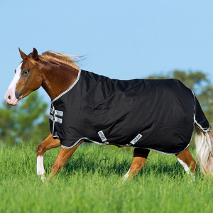 HORSEWARE IRELAND Amigo Stock Horse Med 200g Black/Silver/Black Turnout Sheet (AARA2S-KIK0)
