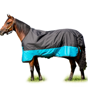 HORSEWARE IRELAND Mio Medium 200g Dark Blue/Dark Blue/Red Turnout Blanket (AASA42-KCTK) - Horseware Ireland