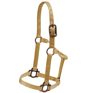 Mustang MUSTANG Regular Antique Dot Halter - $43.99 at gritroutdoors.com