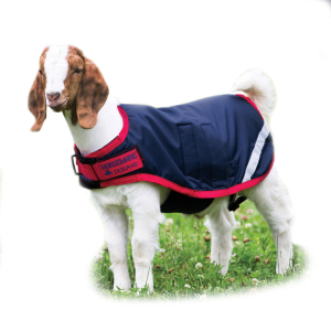 HORSEWARE IRELAND 100g Navy/Red Goat Rug (RAHG21-BR00)