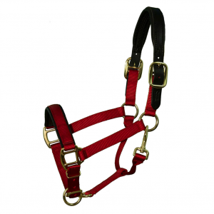 INTREPID INTERNATIONAL Chafeless Breakaway Large Horse Halter with Padded Nose and Crown