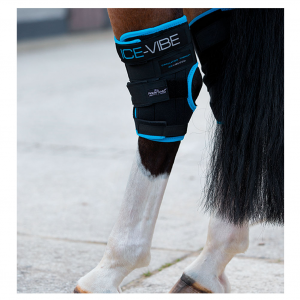 HORSEWARE IRELAND Ice-Vibe Black/Aqua Hock Wrap Boot (DBHK71-KDA0-FU)