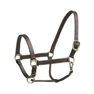 CAMELOT Stable Halter Cob (464283BRN-COB)