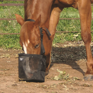 CASHEL Feed Rite Bag - Cashel Company