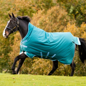 HORSEWARE IRELAND Amigo Bravo 12 Wug 400g Heavy Storm Green/Turquoise/Aqua Tornout (AARW73-GEDC)
