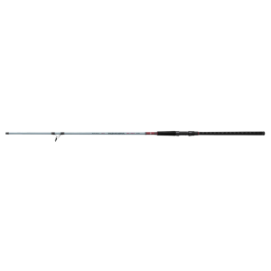 DAIWA TD Surf 11ft 2pc Spinning Rod (TDSUF1102MHFS)