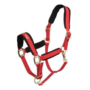 Back On Track BACK ON TRACK Werano Halter (20640) - $45.00 at gritroutdoors.com