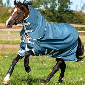 HORSEWARE IRELAND AmEco 1200D Plus 0g Teal/Gray Turnout Blanket (AAROJ0-CTJ0) - Horseware Ireland