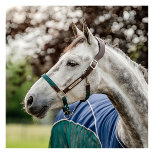 HORSEWARE IRELAND Horseware Signature Braided Headcollar (DHHMM0)