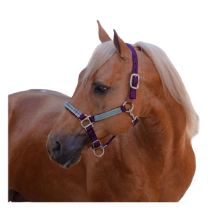 KENSINGTON Premium Nylon Breakaway Halter (KHSB) - Kensington Protective Products